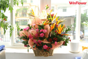 Tặng Hoa Dịp Khai Trương